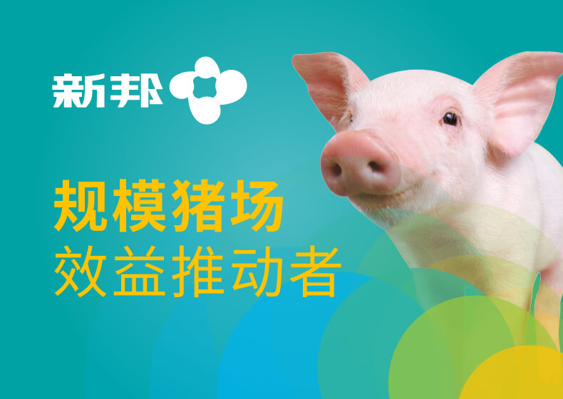 新邦生物科技品牌設計